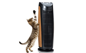 air purifier for pet