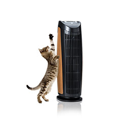 air purifier for pets